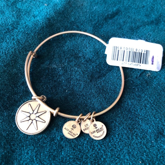 NWT Alex and Ani Gold Bracelet - Picture 1 of 4